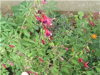 1ac4aa98-Picture 008.jpg